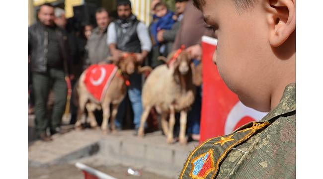 Adaklar &#39;Mehmetler&#39; için kesildi