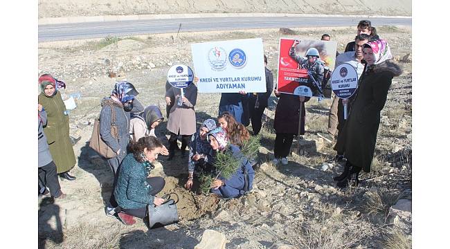 Adıyaman&#39;da &#39;Zeytin Dalı Hatıra Ormanı&#39; oluşturuldu