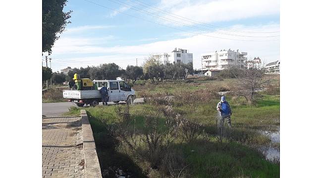 Büyükşehir, sinekle mücadeleye devam ediyor