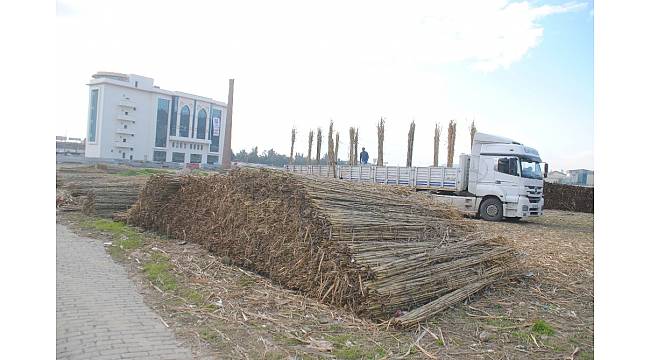 Kargı, Aydın&#39;da yaşayan Romanların ekmek kaynağı oldu