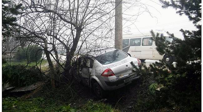 Kontrolden çıkıp bahçeye daldı: 1 yaralı