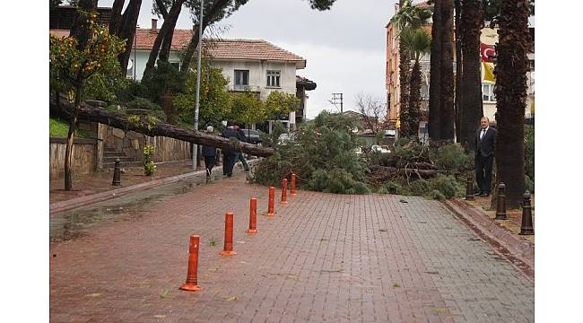 Ölümden 10 saniyeyle kurtuldular