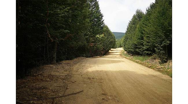 Ordu&#39;da 2B arazilerinin satışı sürüyor