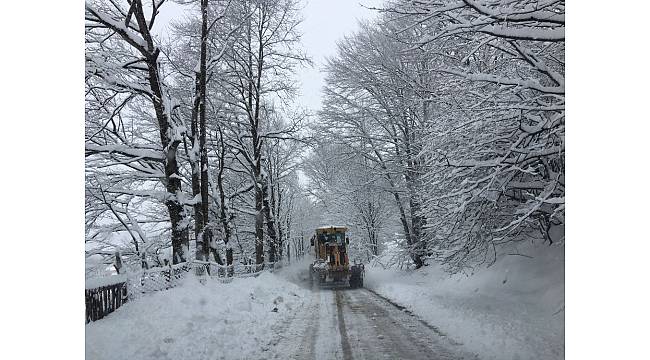 Ordu&#39;da kar mücadelesi