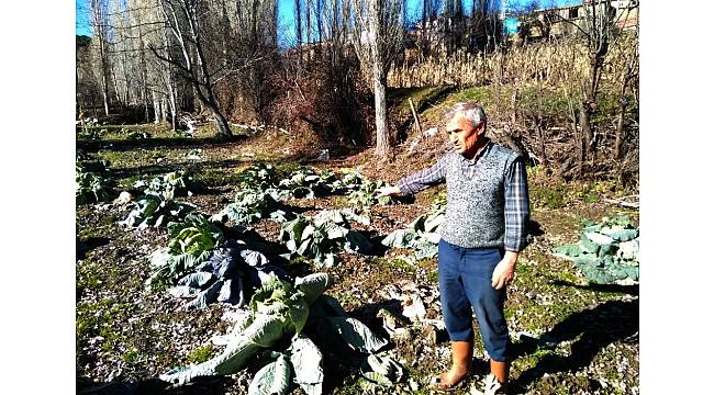 Vatandaşlardan DESKİ&#39;ye &#39;kötü koku&#39; tepkisi