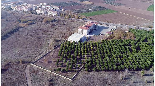 Akhisar&#39;da sağlığa büyük yatırım