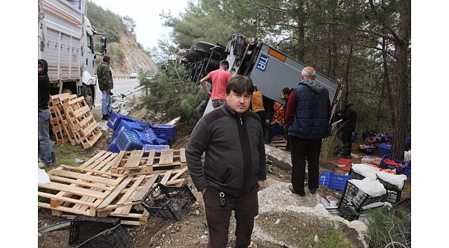 Antalya&#39;da önüne domuz sürüsü çıkan tır devrildi