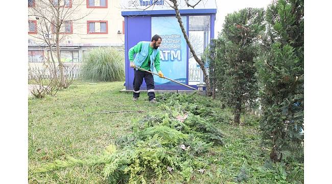 Başiskele Belediyesi ekipleri, yeşil bir kent için çalışıyor