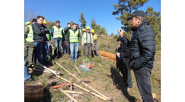 Bozdoğan&#39;da silvikültür tatbikatı yapıldı