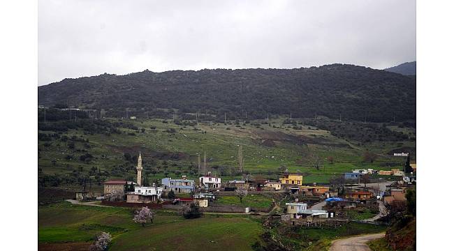 Darmık Dağı bölgesinde sessizlik hakim