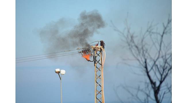 Elektrik direğinde korkutan patlama