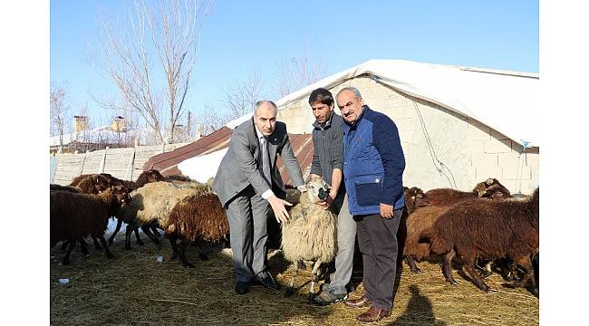 Genç Çiftçi projesi ile hayaline kavuştu