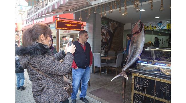 Görenler önce şaşırdı, sonra cep telefonlarına sarıldı