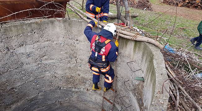 İtfaiyeden horoz kurtarma operasyonu