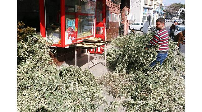 Kilisli fırıncıların &#39;Zeytin Dalı&#39; telaşı