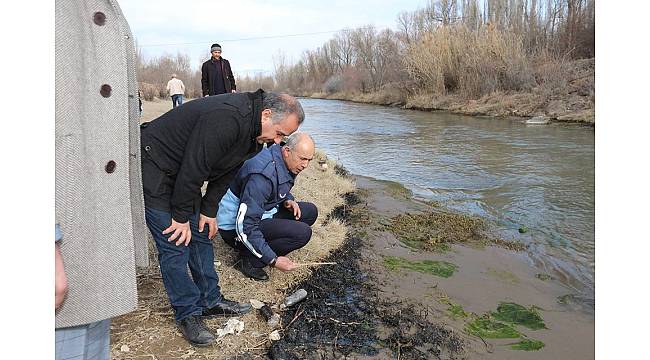 Oltu&#39;daki balık ve kuş ölümleri araştırılıyor