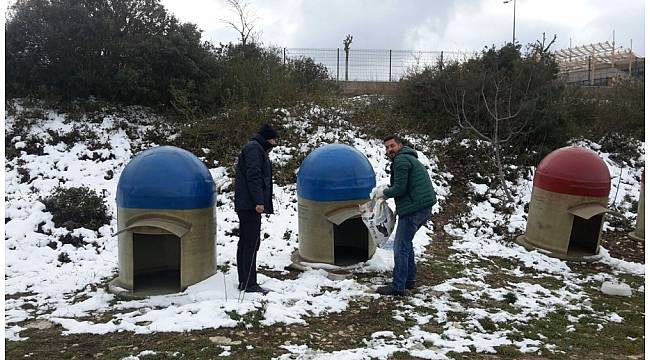 Sahipsiz sokak köpeklerine sıcak yuva