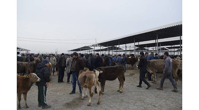 Şap karantinası altında bulunan hayvan pazarı yeniden açıldı