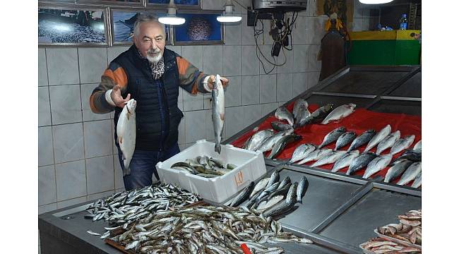 Tezgahta en pahalı balık hamsi