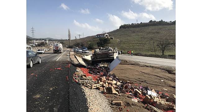 Virajı alamayan tır devrildi: 1 yaralı