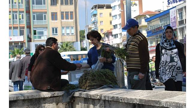 Aydın&#39;da kedirgen otu garibana iş, zengine aş oldu