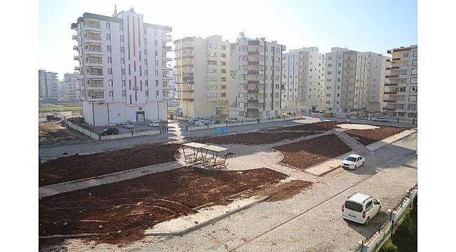 Haliliye&#39;de yeşillendirme çalışmaları devam ediyor