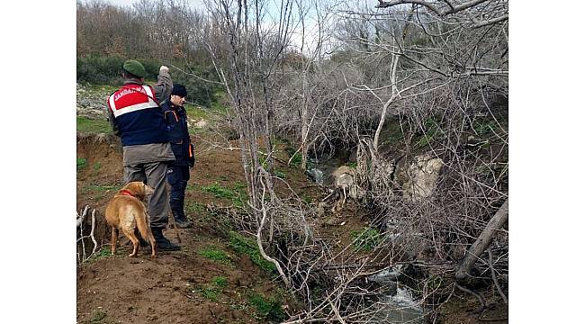 Kayıp alzheimer hastası derede ölü olarak bulundu