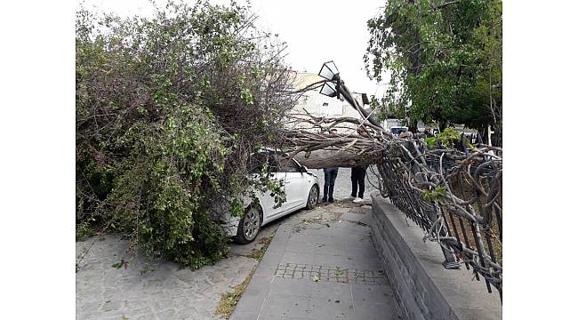 Tarsus&#39;ta fırtına etkili oldu