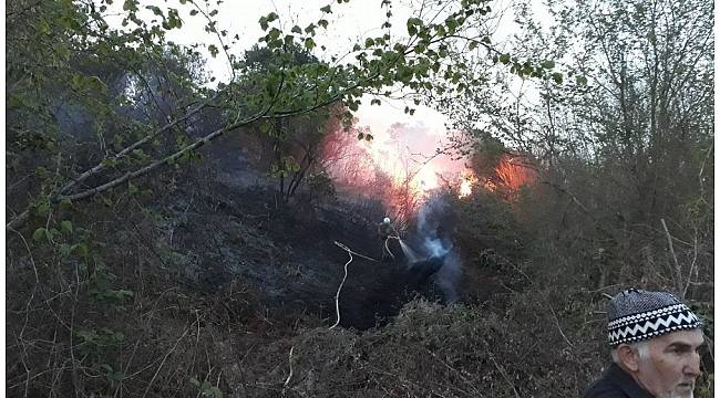 Akçakoca&#39;da çıkan yangın büyümeden söndürüldü