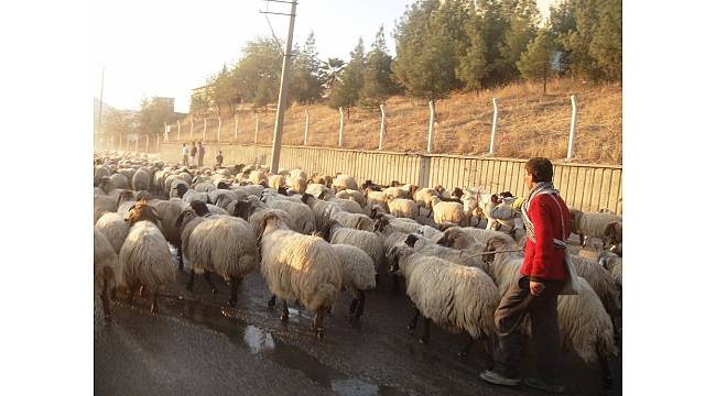 Genç çiftçi hibe başvuruları başladı