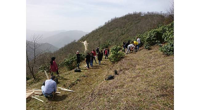 Giresun&#39;da tıbbi ve aromatik bitkiler uygulama bahçesi oluşturuldu