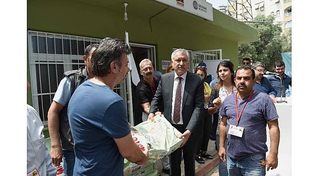 Seyhan&#39;da kedi ve köpekler için mama dağıtıldı