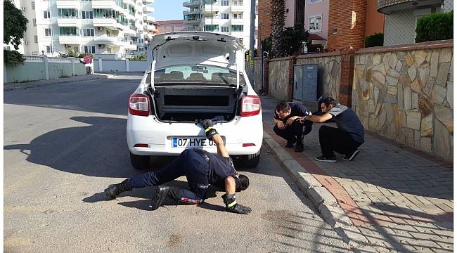 Alanya&#39;da yılan paniği