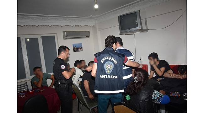 Antalya&#39;da kumar operasyonları