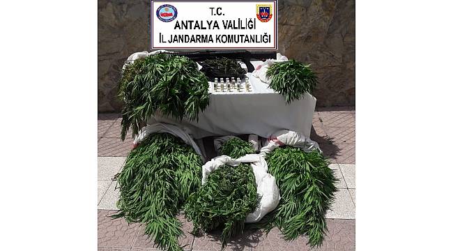 Antalya&#39;da uyuşturucu operasyonları