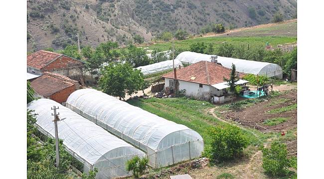 Büyükşehirin sağladığı sera desteği üreticiyi kalkındırıyor