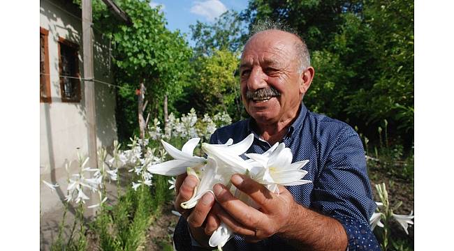 Çiçeğinin kilosu 120 lira, yağı 5 bin avro