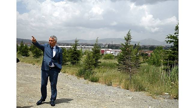 Isparta&#39;da çöp depolama alanı çevresi ormana dönüştü