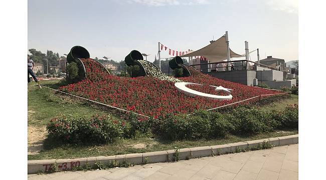 Karabük&#39;te Türk bayrağı çiçek açtı