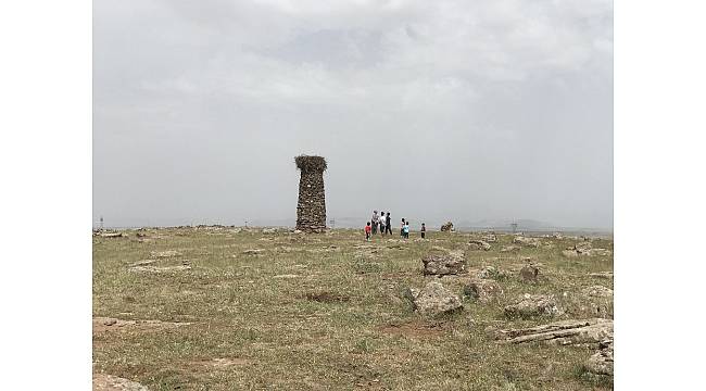 Köylüleri zehirli yılanlardan leylekler koruyor