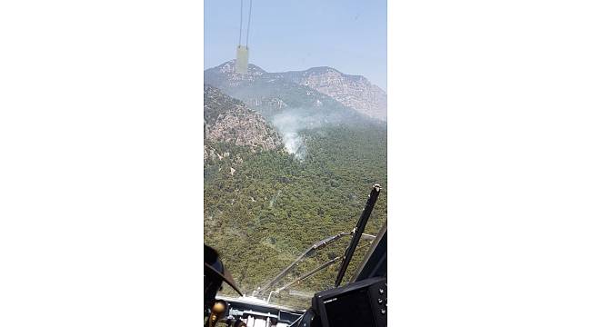 Muğla&#39;da orman yangını