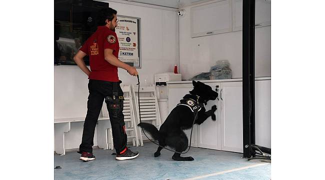 Narkotik Eğitim Tırı Afyonkarahisar&#39;da