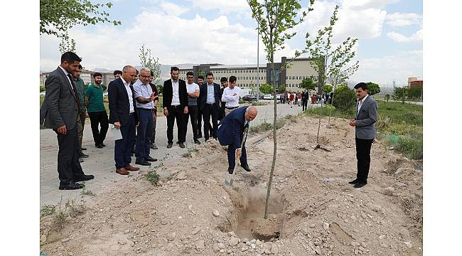 Niğde&#39;de, Afrin Şehitleri anısına çınar fidanı diktiler