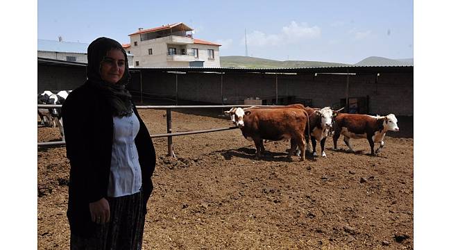 Niğde&#39;de hayvancılık gelişiyor