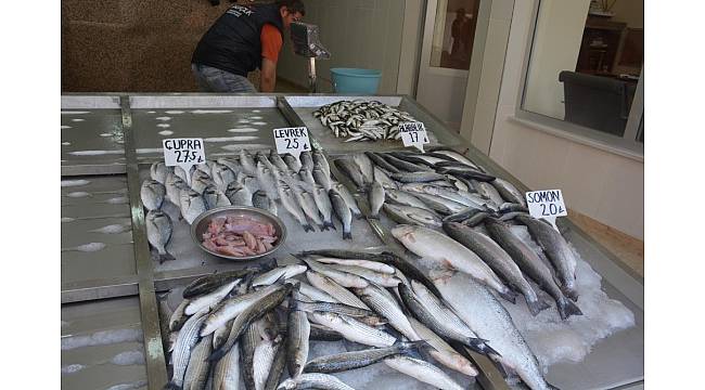 Sinop&#39;ta Ramazan&#39;da balık satışları düştü