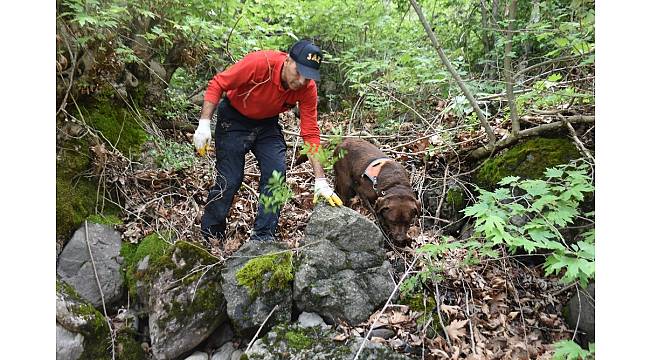 Tokat&#39;ta kaybolan muhtarı kadavra köpeği arıyor