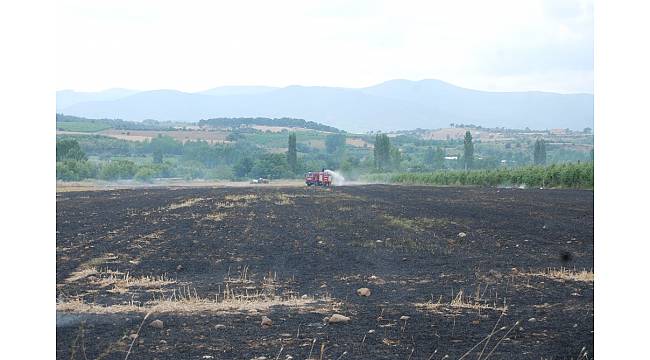 Bayramiç&#39;te tarla yangını korkuttu