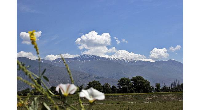 Erzincan&#39;a haziranda kar yağdı