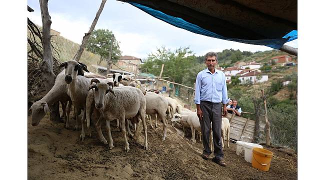 Göçten vazgeçip hayvancılığa başladılar