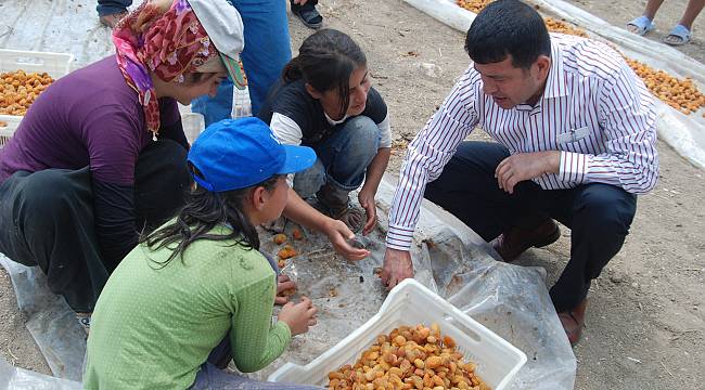 Ağbaba’dan mevsimlik tarım işçileri için araştırma önergesi